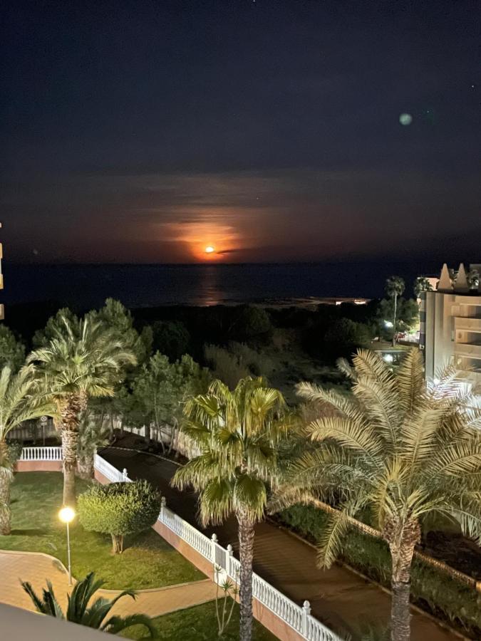 Mimosa Apartment Guardamar del Segura Buitenkant foto